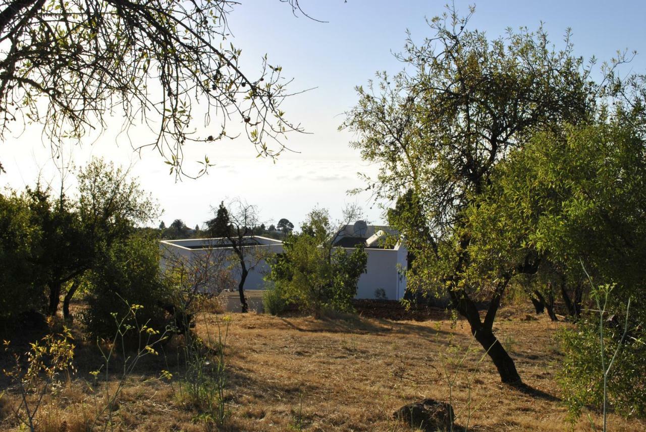 Villa Horizonte Пунтагорда Экстерьер фото