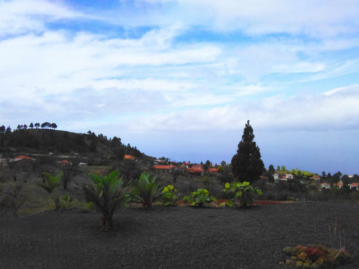 Villa Horizonte Пунтагорда Экстерьер фото